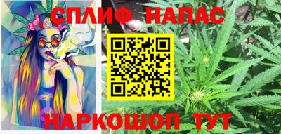 стафф Лесосибирск